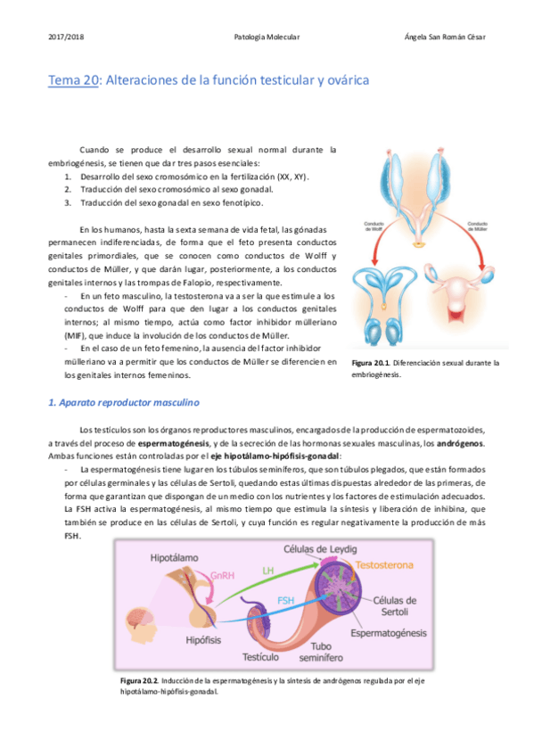 Miniatura del documento 20. Alteraciones de la función testicular y ovárica .pdf