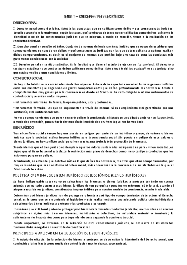 Miniatura del documento TEMARIO-COMPLETO.pdf