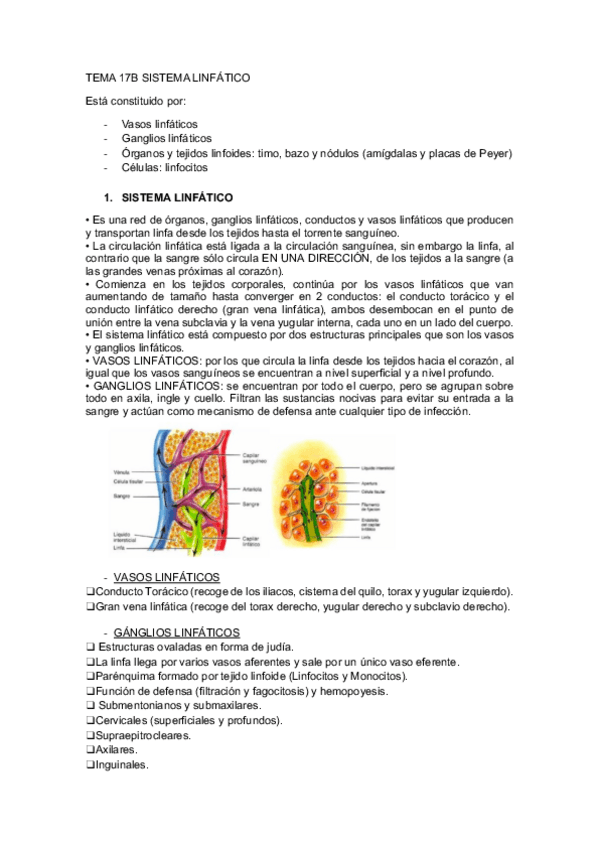 Miniatura del documento TEMA-17B-SISTEMA-LINFATICO.pdf
