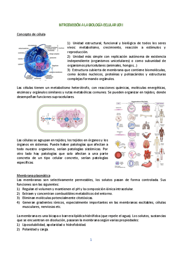 Miniatura del documento BIOLOGIA-CELULAR-UDI-1.pdf