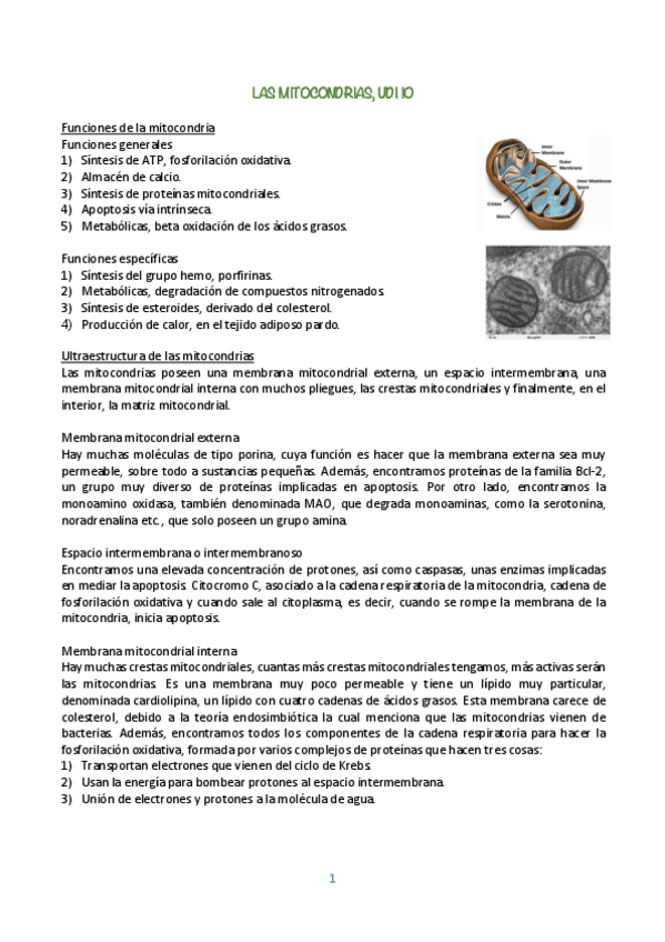 Miniatura del documento BIOLOGIA-CELULAR-UDI-10.pdf