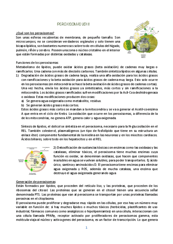 Miniatura del documento BIOLOGIA-CELULAR-UDI-11.pdf