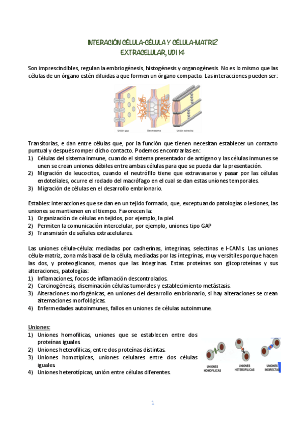 Miniatura del documento BIOLOGIA-CELULAR-UDI-14.pdf