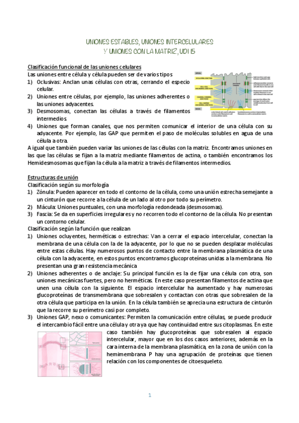 Miniatura del documento BIOLOGIA-CELULAR-UDI-15.pdf