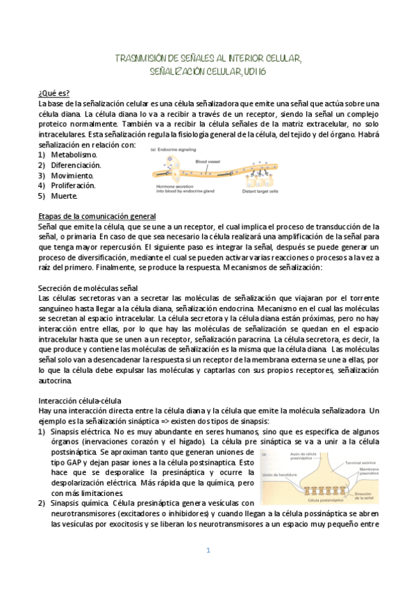 Miniatura del documento BIOLOGIA-CELULAR-UDI-16.pdf
