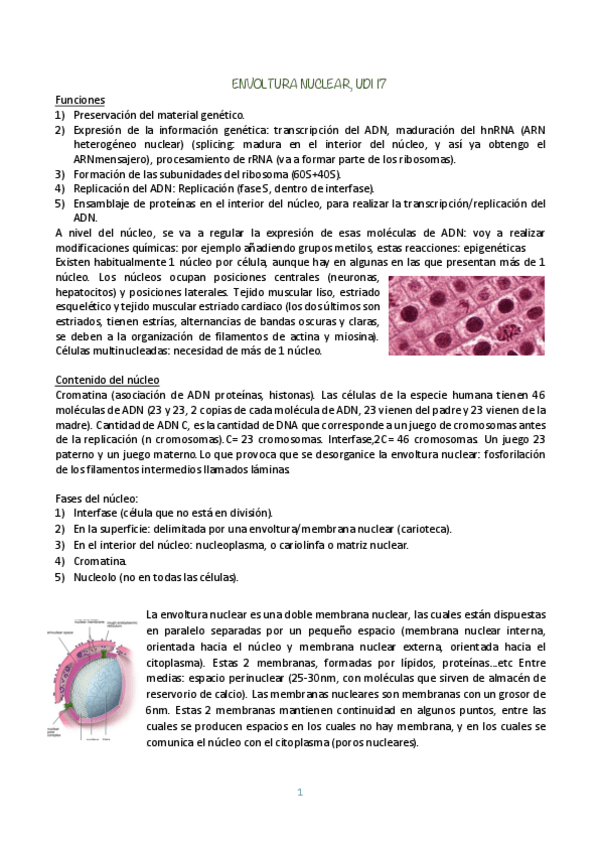 Miniatura del documento BIOLOGIA-CELULAR-UDI-17-Y-18.pdf