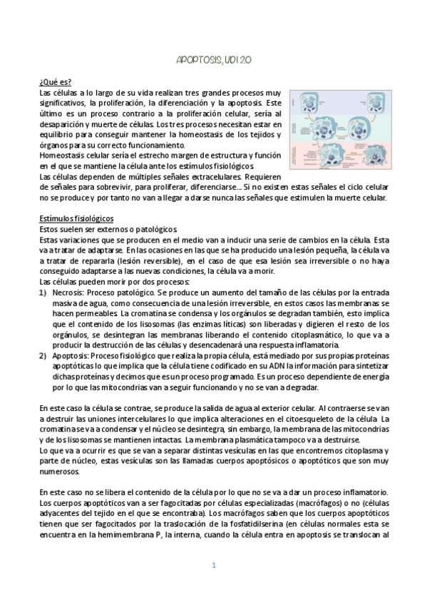 Miniatura del documento BIOLOGIA-CELULAR-UDI-20.pdf