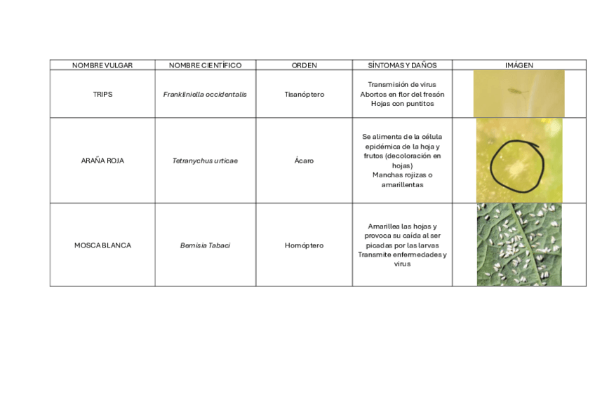 Miniatura del documento HorticolasPlagas.pdf