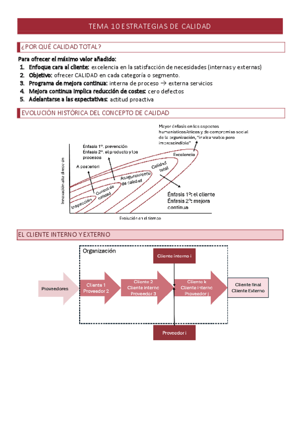 Miniatura del documento TEMA-10-direccion-estrategica.pdf