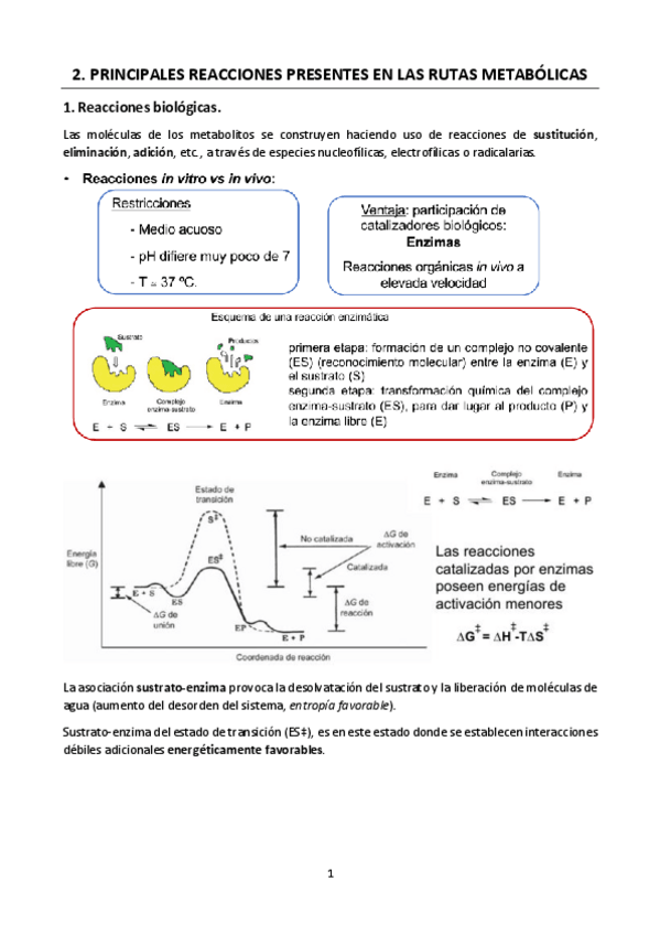 Miniatura del documento 2.-PRINCIPALES-REACCIONES-PRESENTES-EN-LAS-RUTAS-METABOLICAS.pdf
