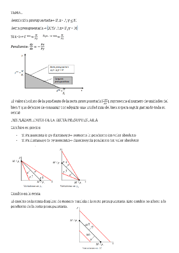 Miniatura del documento TEMA-1-4-RESUMEN-MICRO.pdf