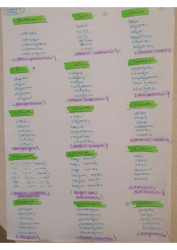 Miniatura del documento conjugacio-verbs.pdf