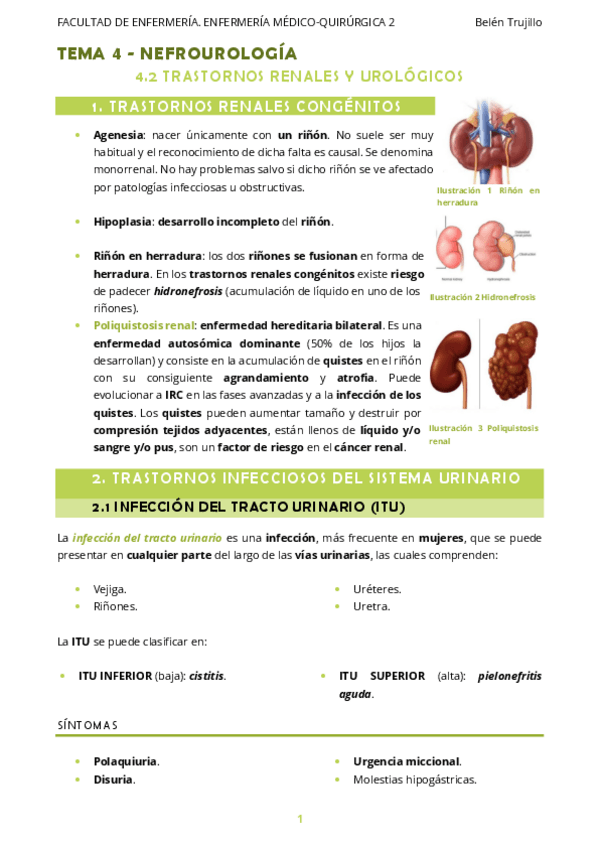 Miniatura del documento MQ2-Tema4-Nefrourologia-2TrastornosRenalesUrologicos.pdf