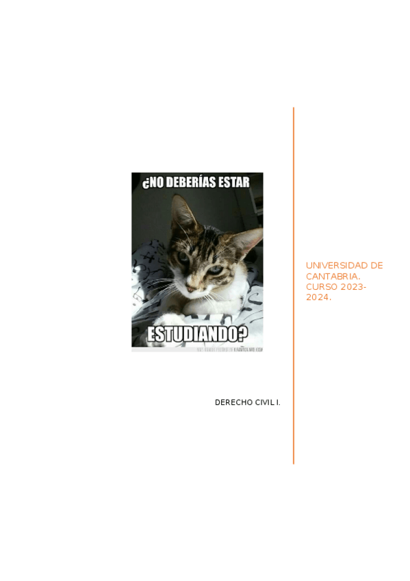 Miniatura del documento CIVIL-I.docx