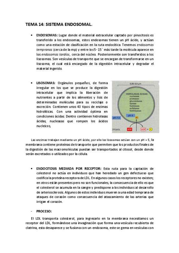 Miniatura del documento TEMA-14-imp.pdf