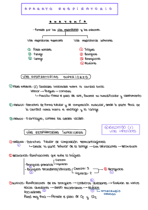 Miniatura del documento TEMA-14-APARATO-RESPIRATORIO-1.pdf