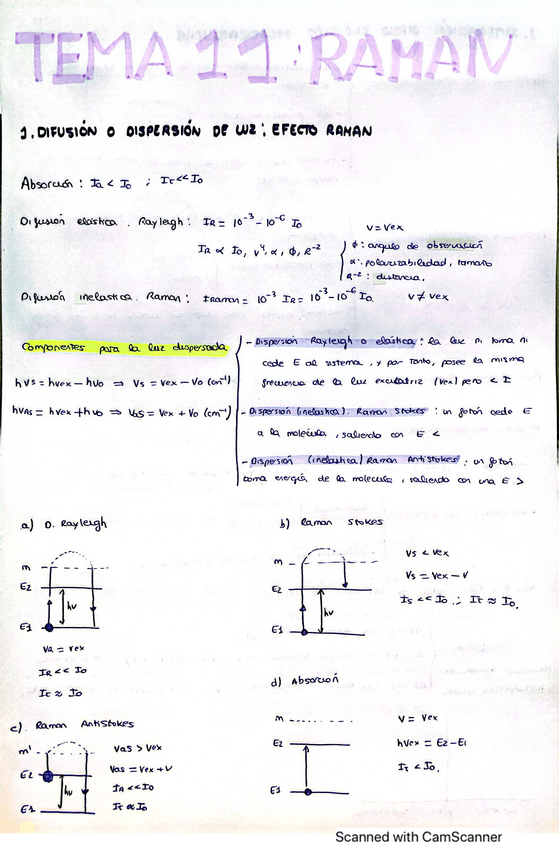 Miniatura del documento tema-11.pdf