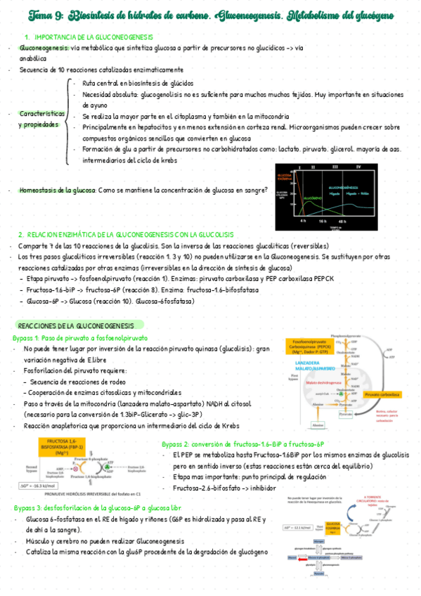 Miniatura del documento Bioquimica-T9.pdf