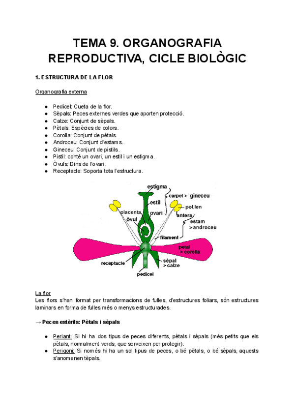 Miniatura del documento 9. Organografia reproductiva. Cicle biològic.pdf