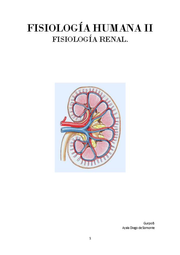 Miniatura del documento Renal-1112-y-13-Mancebo-2024.pdf