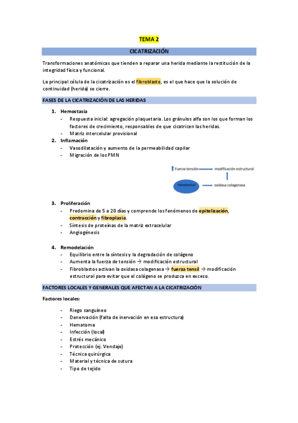 Miniatura del documento AQ-Tema-2.-Cicatrizacion.pdf