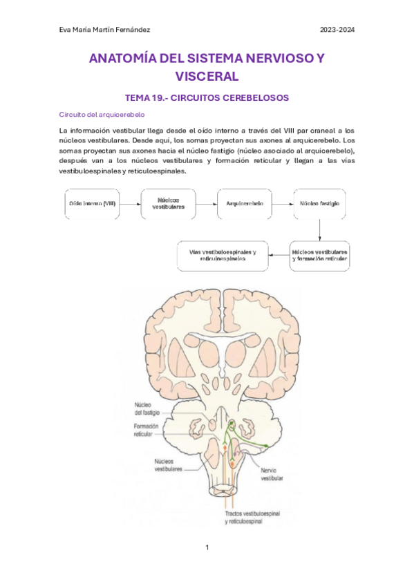 Miniatura del documento U.19.-CIRCUITOS-CEREBELOSOS.pdf