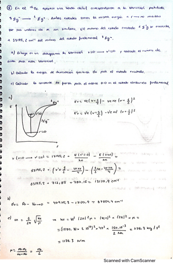 Miniatura del documento tema-12.pdf