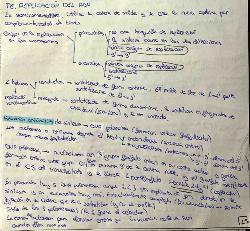 Miniatura del documento Tema-8.pdf
