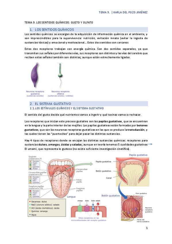 Miniatura del documento TEMA-9.pdf