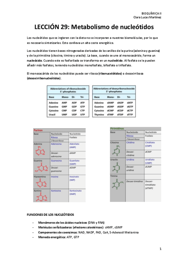 Miniatura del documento LECCION-29.-Sintesis-de-nucleotidos.pdf