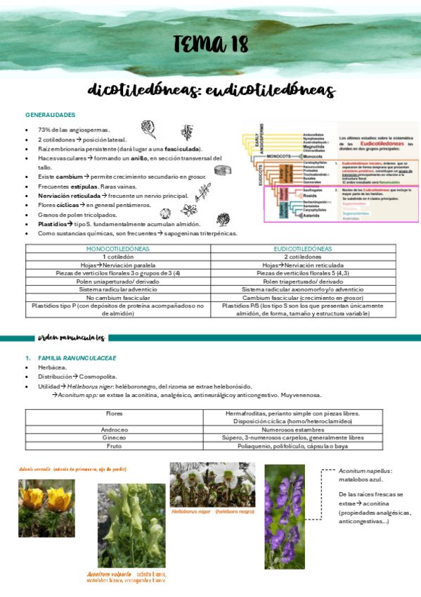 Miniatura del documento TEMA-18.pdf