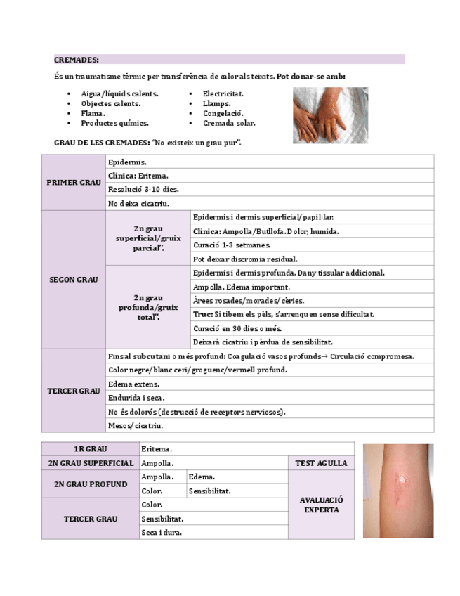 Miniatura del documento CREMADES.pdf