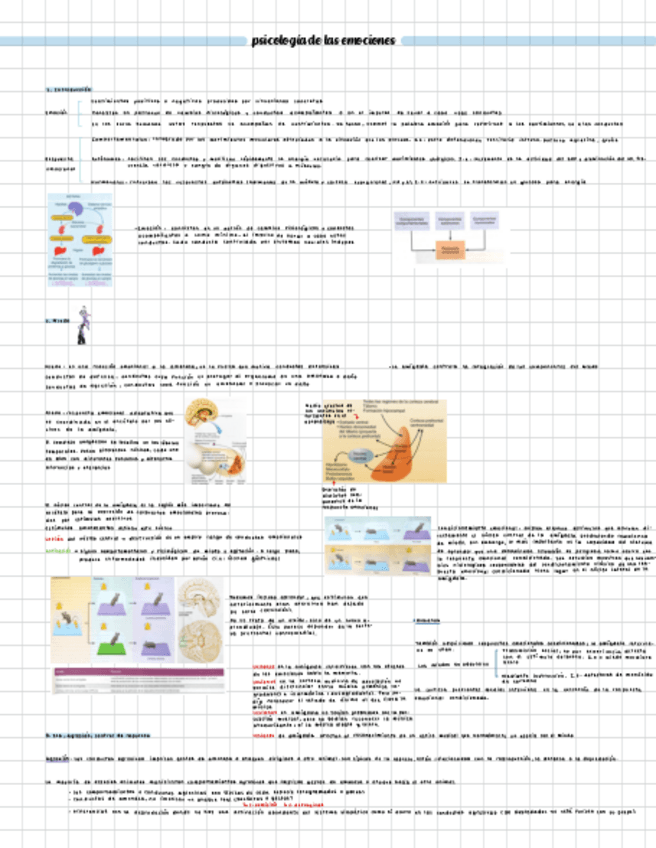Miniatura del documento tema-6-emociones-fisio.pdf