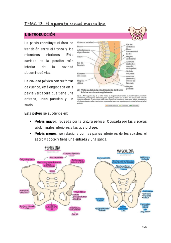 Miniatura del documento T.13-EYFCHII.pdf