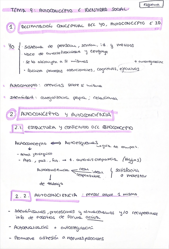 Miniatura del documento esquemas-tema-9-autoconcepto-e-identidad-social-psicologia-social.pdf