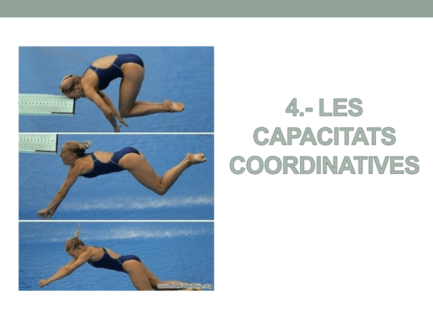 Miniatura del documento Tecnico Deportivo_TEMA-6.-LES-CAPACITATS-COORDINATIVES.pdf