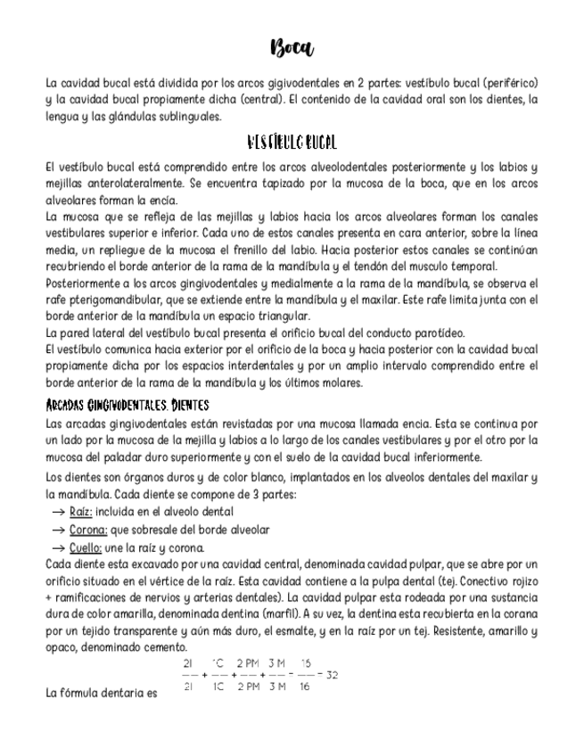 Miniatura del documento Esplacnologia Cara y cuello.pdf
