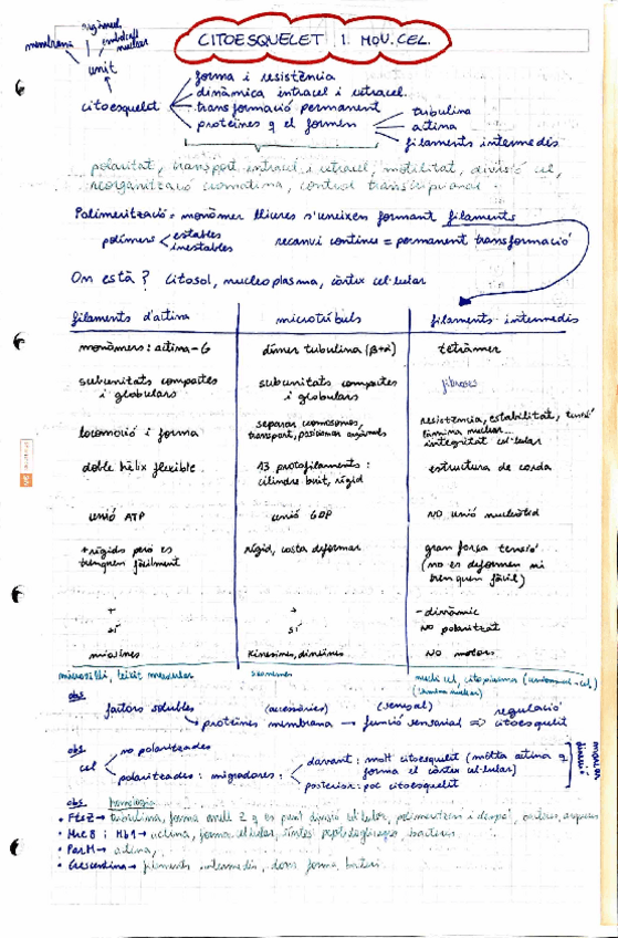 Miniatura del documento SUPER-RESUMS-TOT.pdf