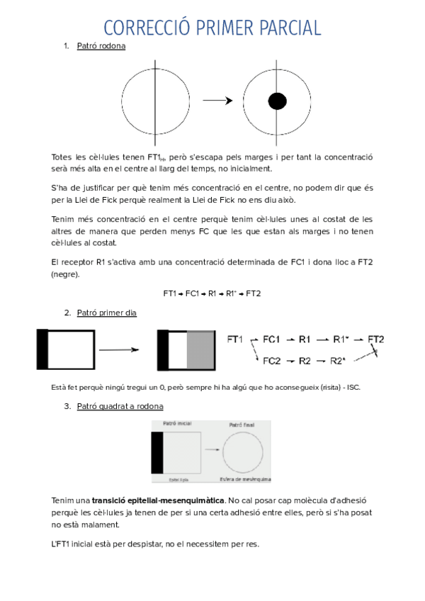 Miniatura del documento CORRECCIO-PRIMER-PARCIAL.pdf