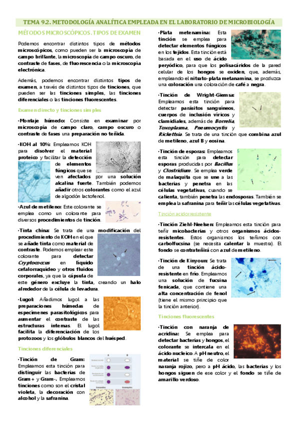Miniatura del documento Tema 9.2 microbiología, Metodología analítica empleada en el laboratorio de microbiología.pdf