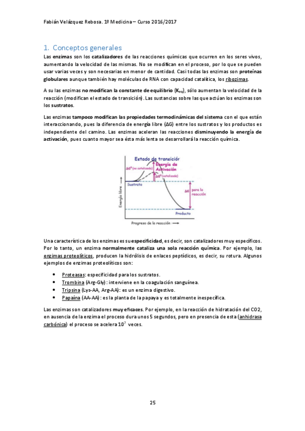 Miniatura del documento TEMA 3. ENZIMAS.pdf