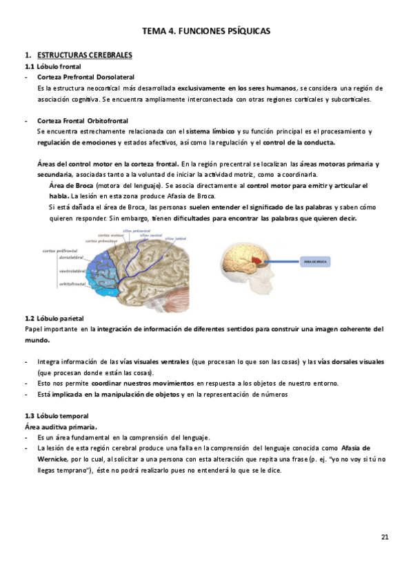 Miniatura del documento Psicologia-Tema-4.pdf