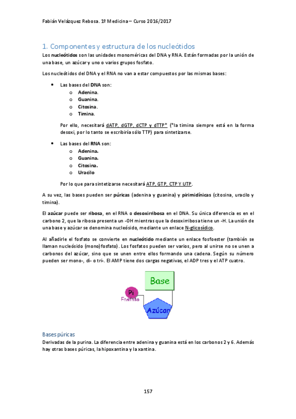 Miniatura del documento TEMA 8. METABOLISMO DE NUCLEÓTIDOS.pdf
