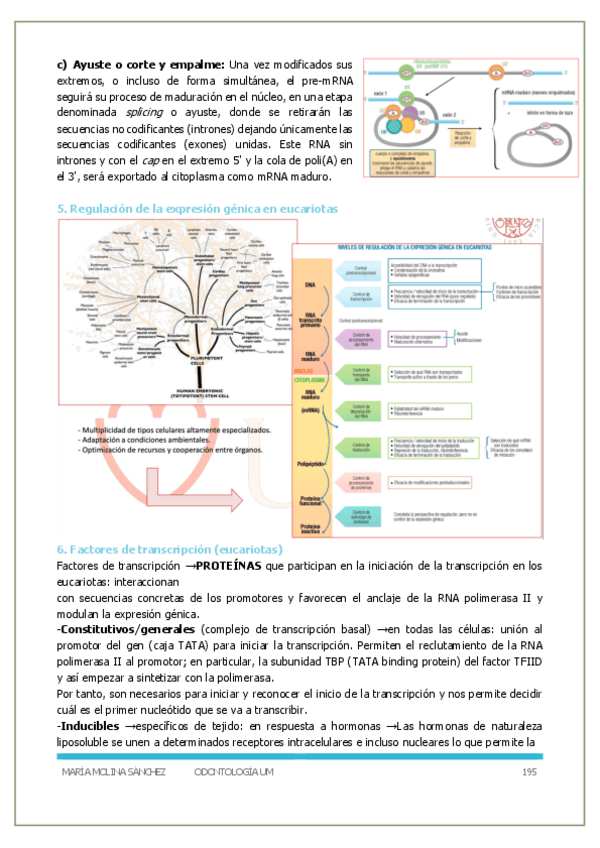 Miniatura del documento P5-Bioquimica-y-biologia-molecular.pdf