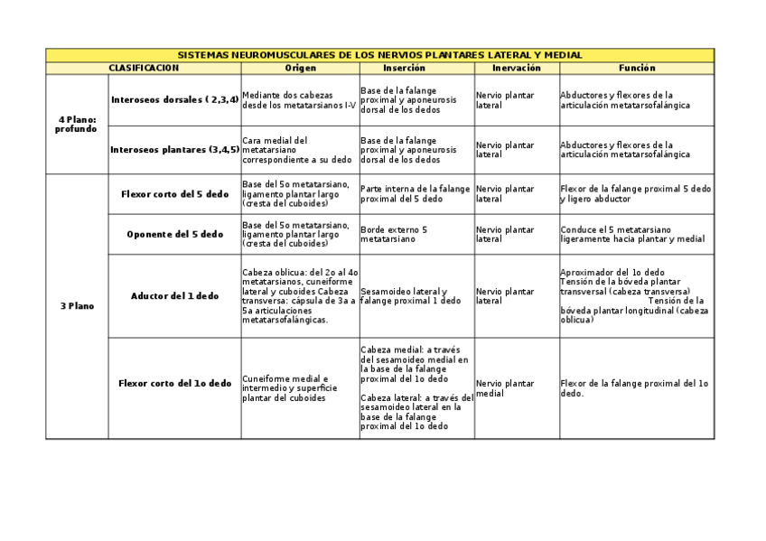 Miniatura del documento SISTEMAS-NEUROMUSCULARES-DE-LOS-NERVIOS-PLANTARES-LATERAL-Y-MEDIAL.xlsx