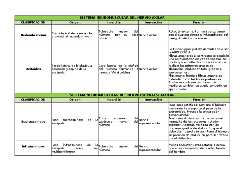 Miniatura del documento Musculos-dorsales-cintura-escapular.xlsx