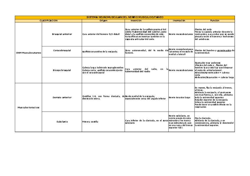 Miniatura del documento SISTEMA-NEUROMUSCULAR-DEL-MUSCULOCUTANEO.xlsx