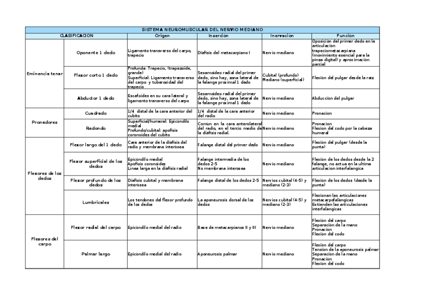 Miniatura del documento SISTEMA-NEUROMUSCULAR-DEL-NERVIO-MEDIANO.xlsx