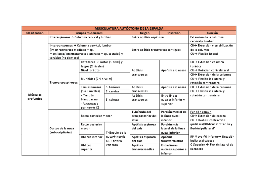 Miniatura del documento Musculatura-autoctona-de-la-espalda.pdf