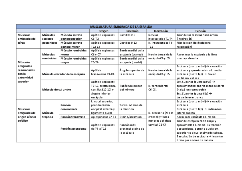 Miniatura del documento Musculatura-emigrada-de-la-espalda.pdf